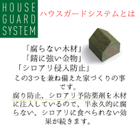 画像1766