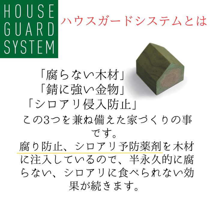 画像1766