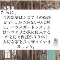 画像1767