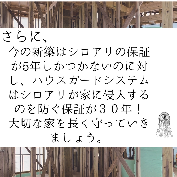 画像1767