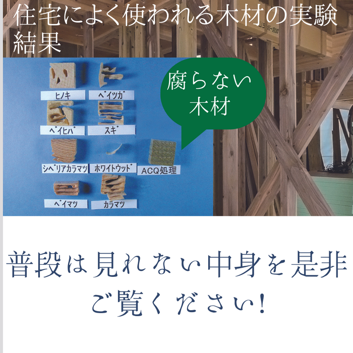 画像1768