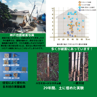 画像1775